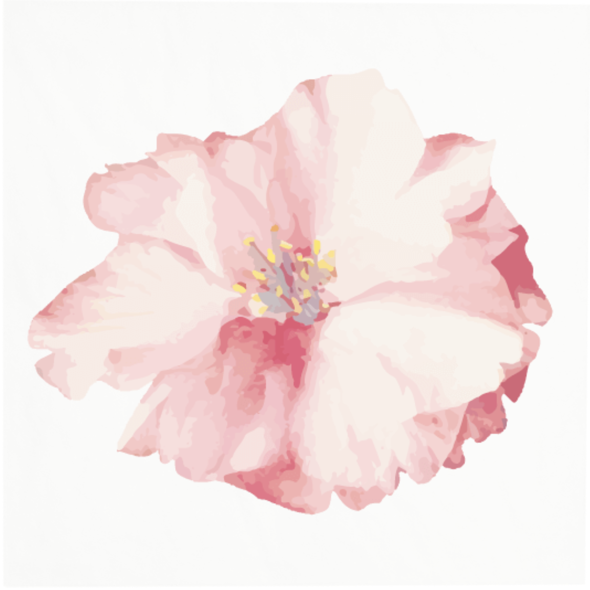 salveta-galerija-slika